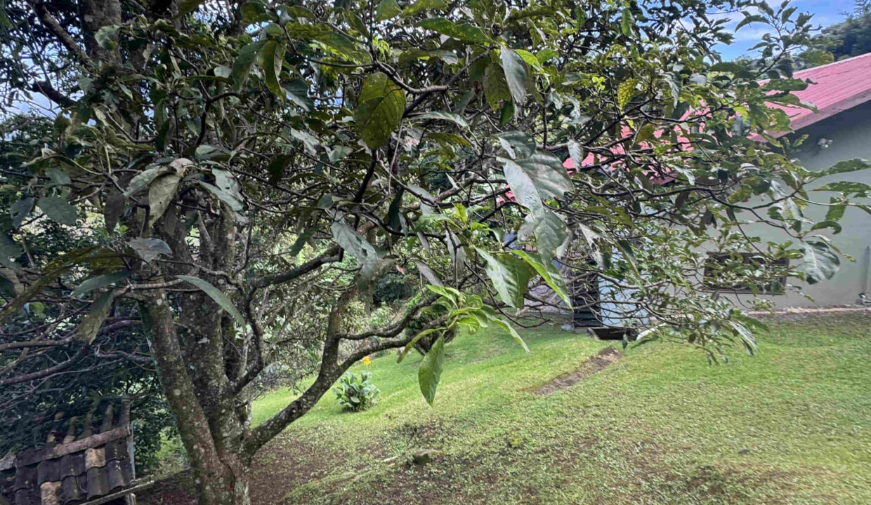 RH-14213-property_(8)