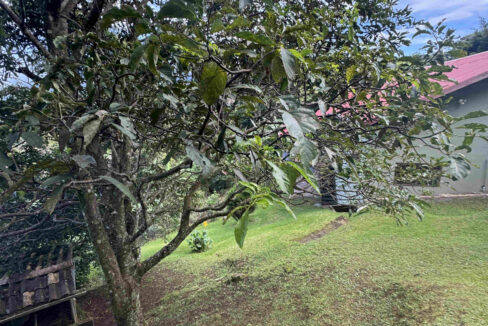 RH-14213-property_(8)