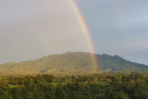 RH-13709-property (8)