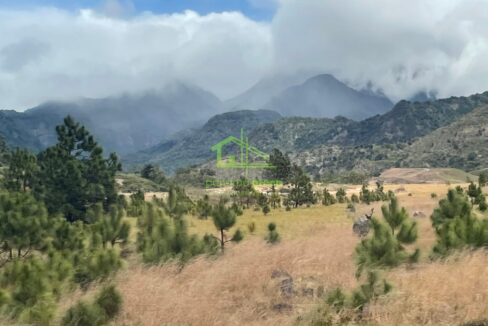 RH-14173-property (10)