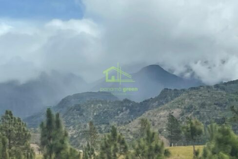 RH-14173-property (9)