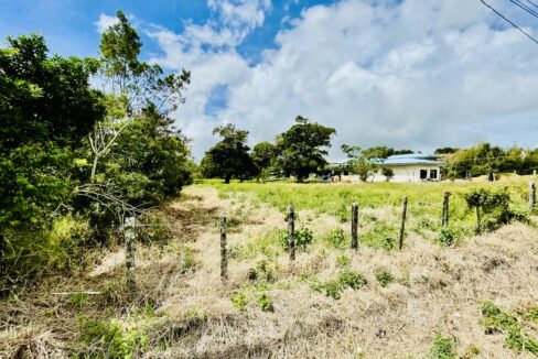 0bb6450a-41b4-4bb8-8015-f49c84d5f498