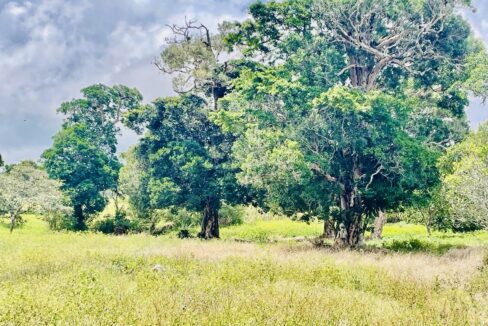 403a6a0c-d08a-4a91-86e0-5cdb3c332ca0