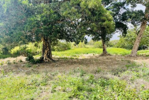 75df84c1-b5c3-4798-9aec-48e28eb00e41