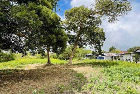 b1e2b5fd-6bbb-4396-bef3-28915fd4dcc0